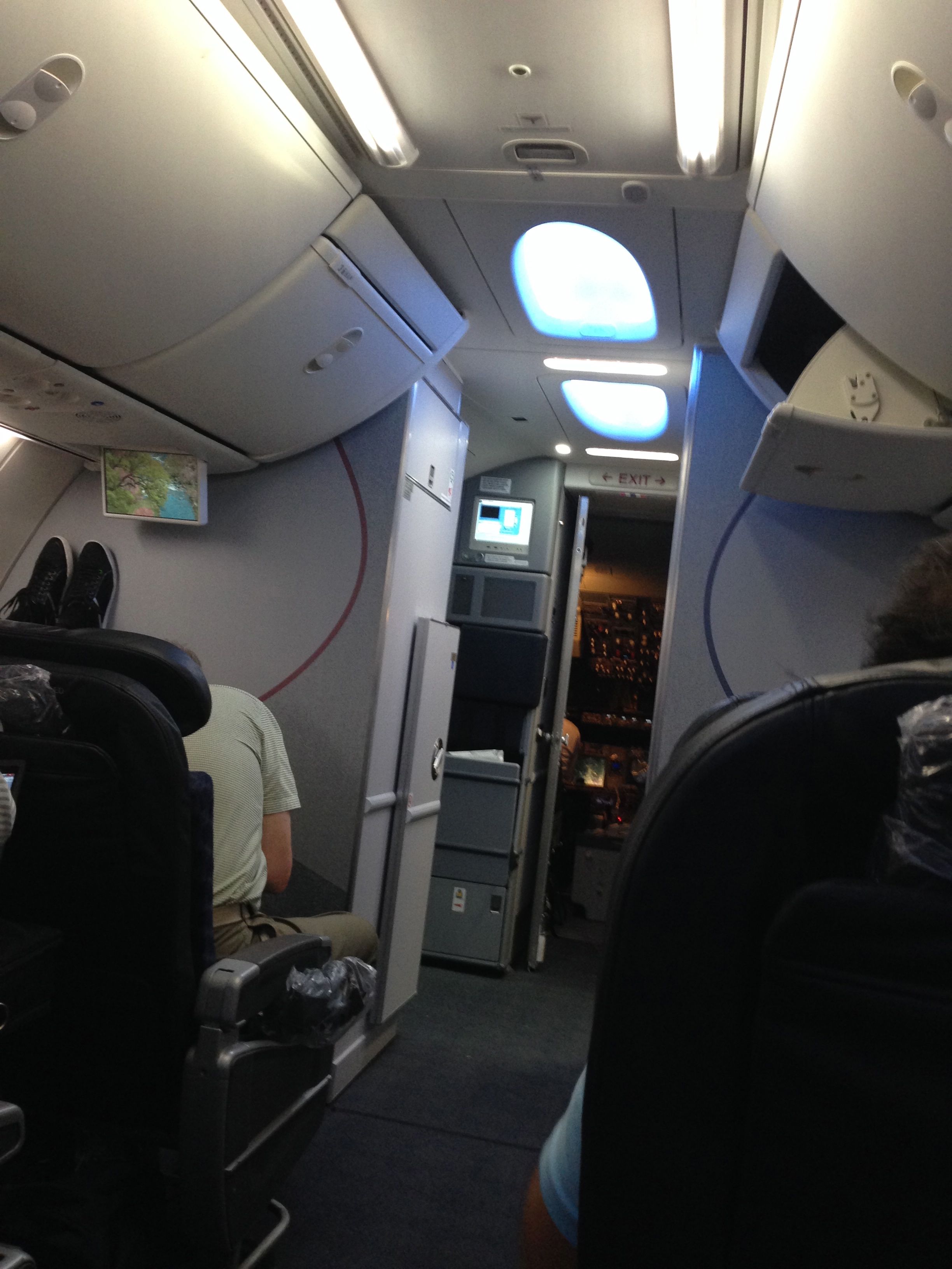 My First Flight On A New Aa 737 800 Sky Interior Impressed