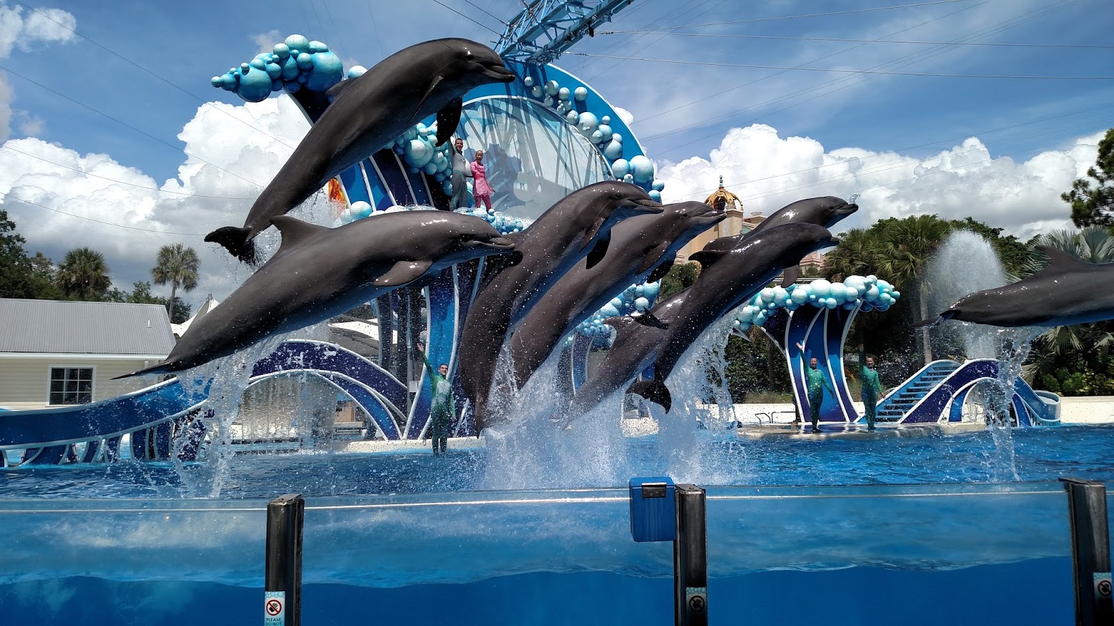 SeaWorld Tickets - Buy One Get One Free Flash Sale