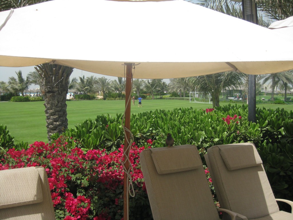 a lawn chairs under a white umbrella