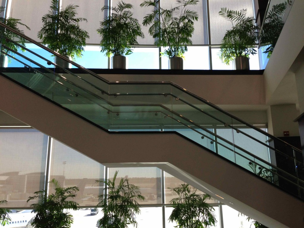 a staircase with glass railings and plants in pots