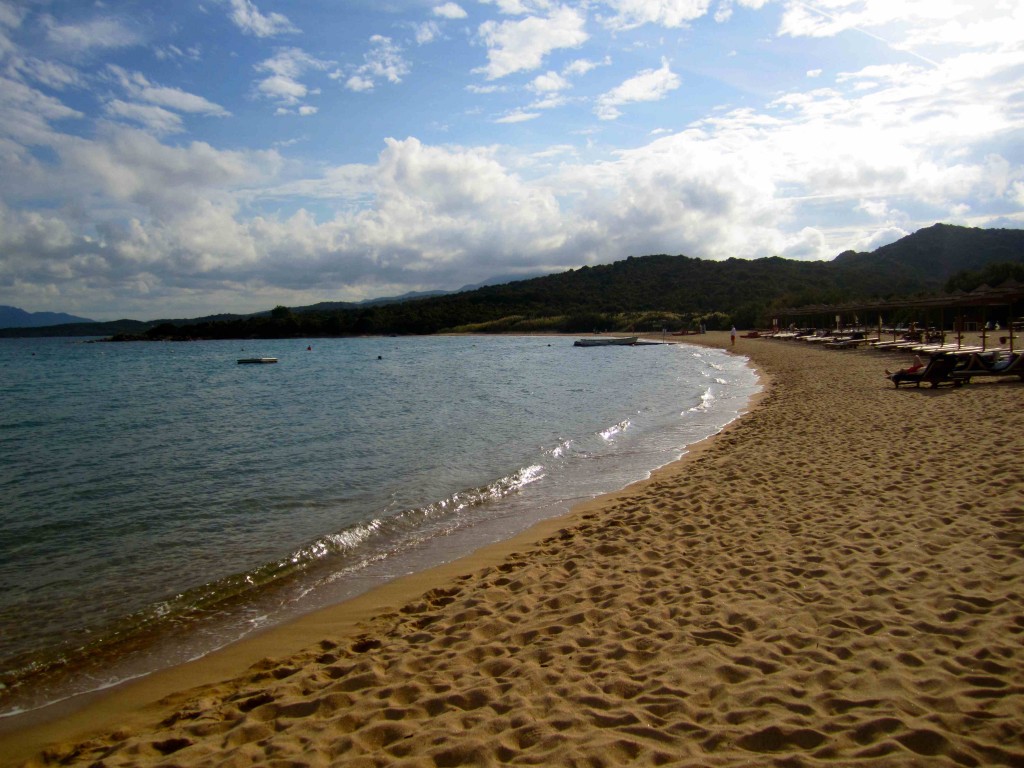 a sandy beach with a body of water and trees