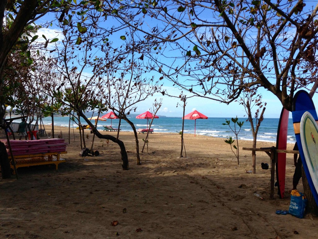 a beach with umbrellas and trees