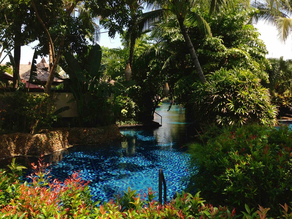 a pool surrounded by trees and plants
