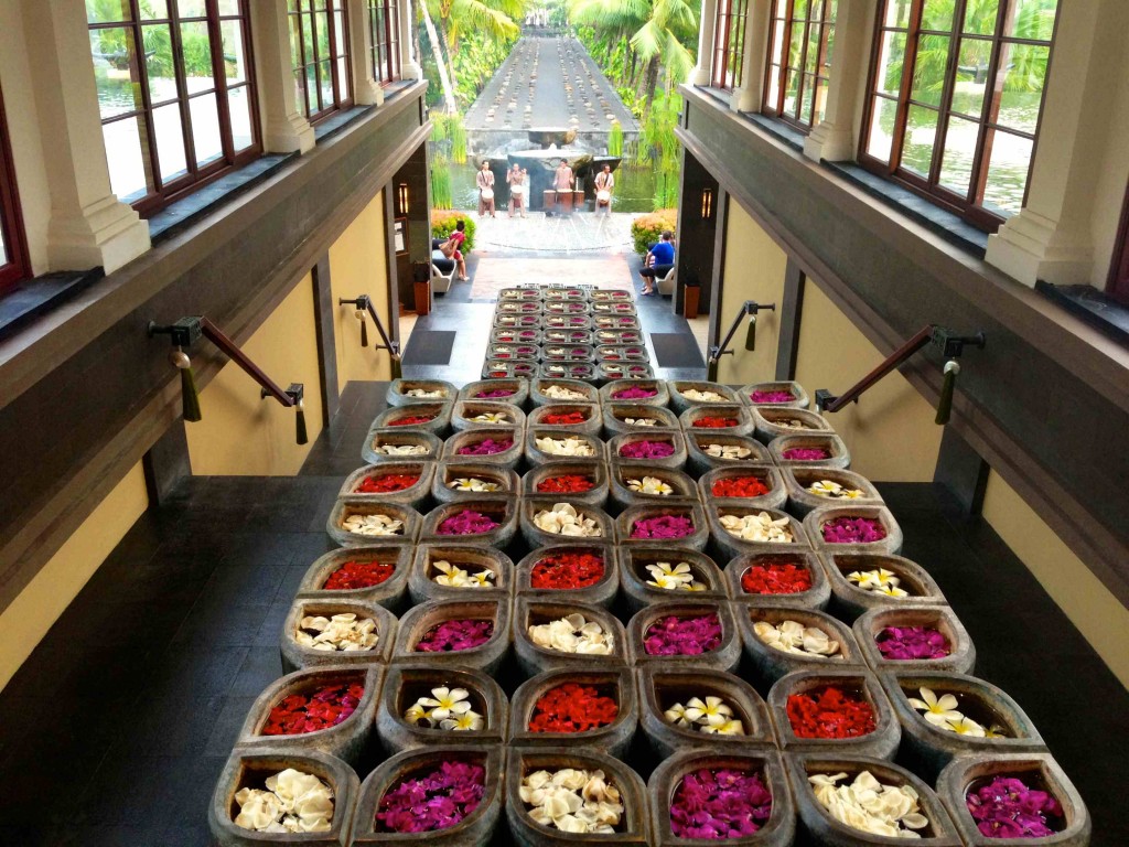 a row of flower pots on a walkway