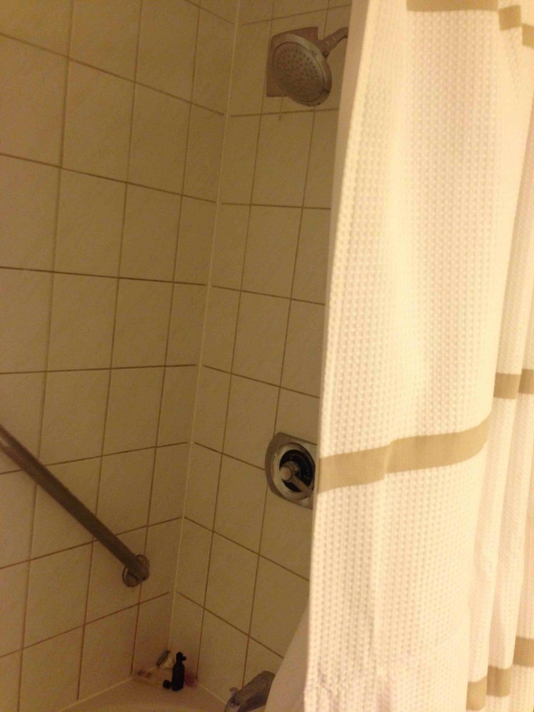 a shower curtain and a white towel