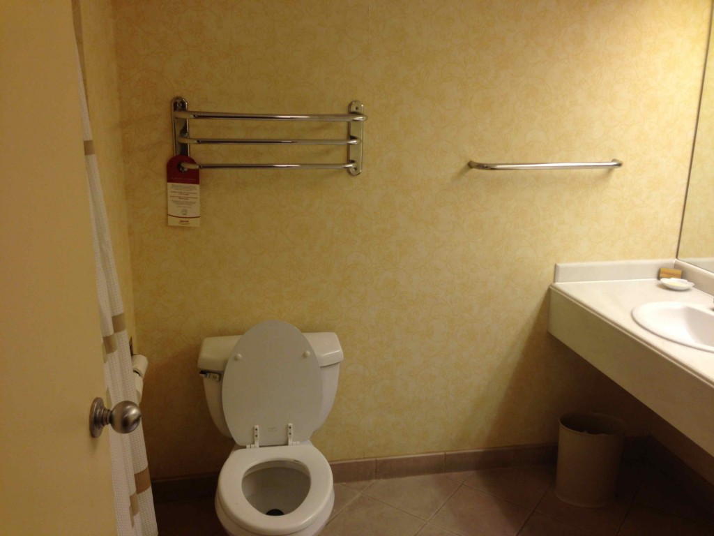 a bathroom with a toilet and sink