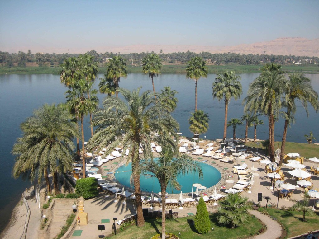 a pool surrounded by palm trees and a body of water