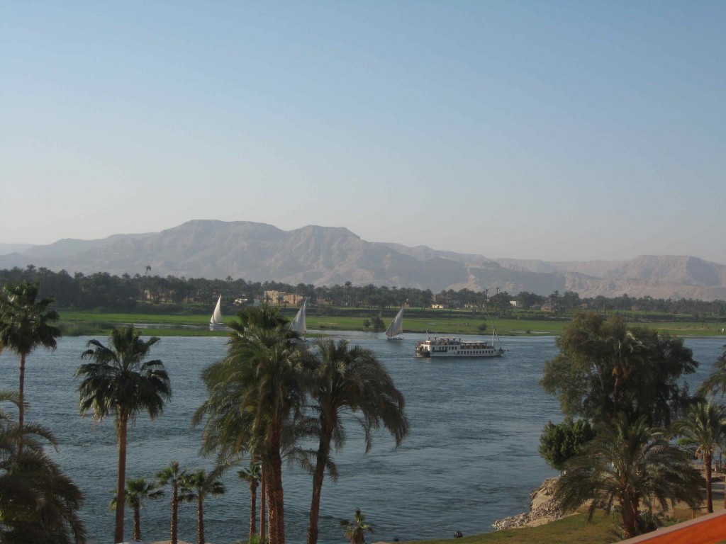 a boat on a river with palm trees and mountains in the background