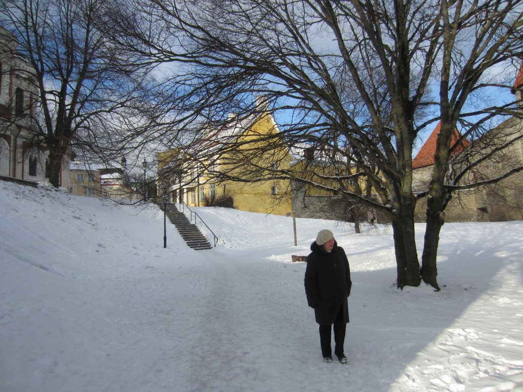 a person walking on a snowy path