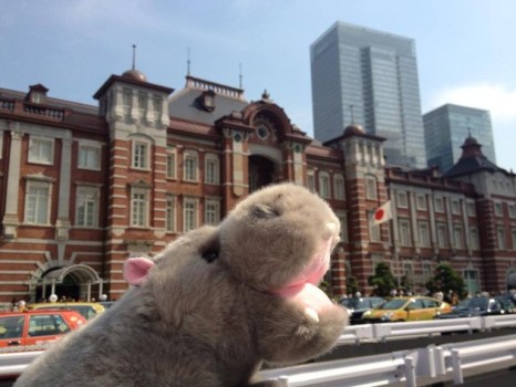 Stuffed Animal Tokyo Station