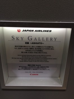 JAL SKY SUITE Business Class Trip Report Review063