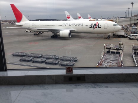 JAL SKY SUITE Business Trip Report1