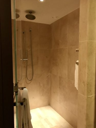 Conrad New York Deluxe Suite - Shower