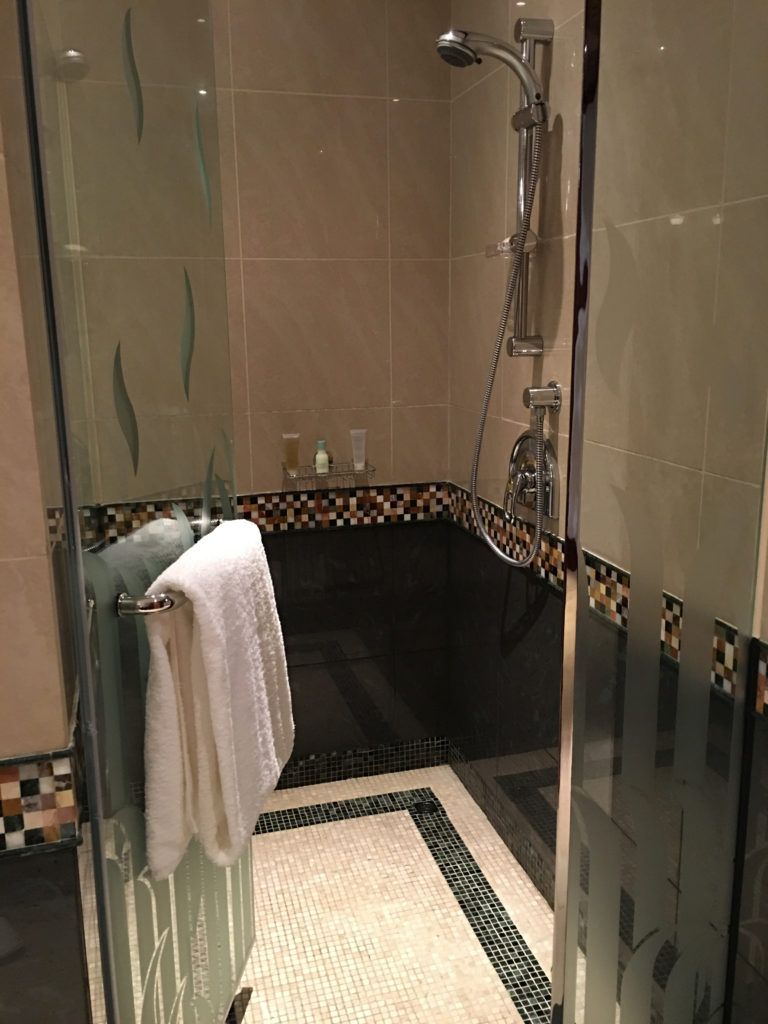 Grand Hyatt Dubai Grand King Room - Shower