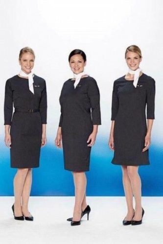AA flight attendants