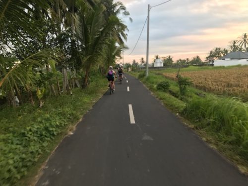a group of people riding bikes on a road