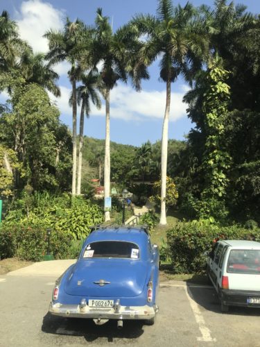 a blue car parked in a parking lot with palm trees