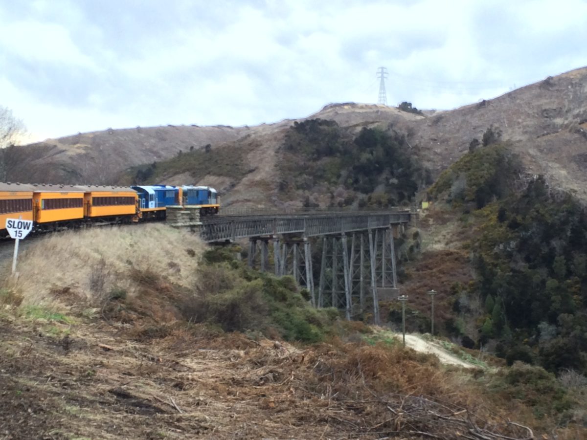 The Taieri Gorge Railway highlights Otago's gold rush history on a full day exploration of the old railroad.