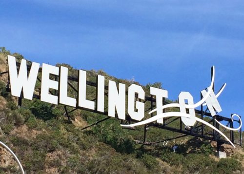 This sign near the Wellington airport plays off the iconic Hollywood sign with a signature "Windy Welly" twist.