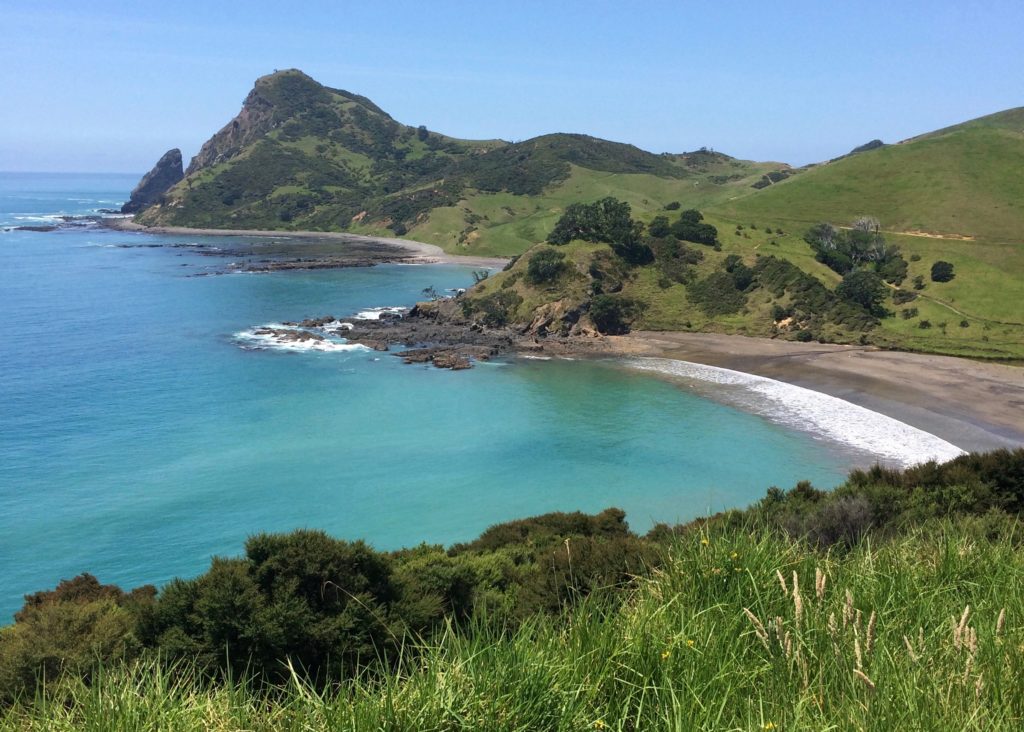 The Coromandel is a short drive from Auckland and a great day trip destination. Go for the gently rolling green hills, turquoise seas, and unique beaches.