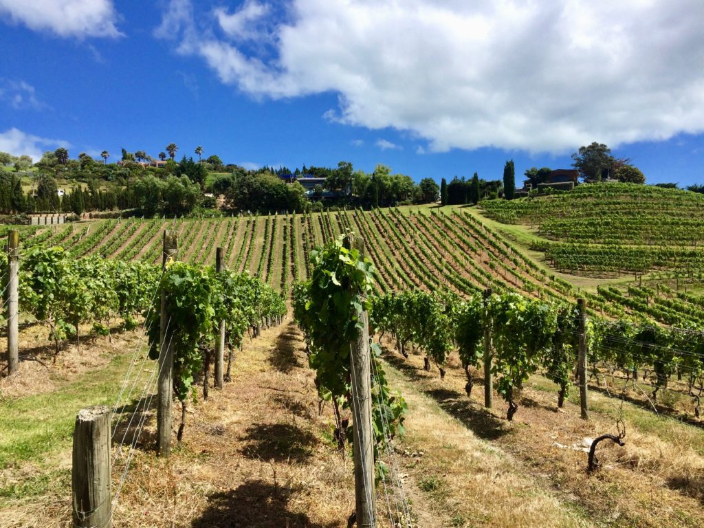 Waiheke Island is one of the most popular day trips from Auckland as its only a short ferry ride from downtown. Go for the beaches, the wineries, and the excellent local food.