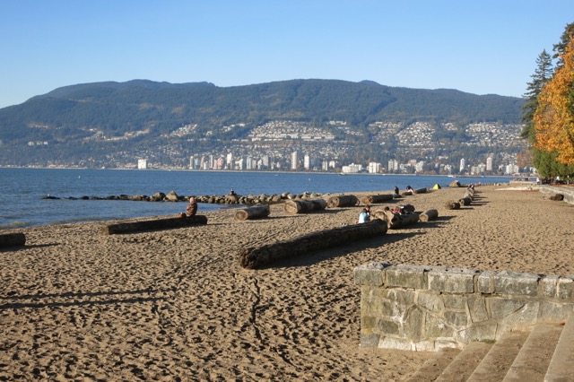 a beach with logs on the sand