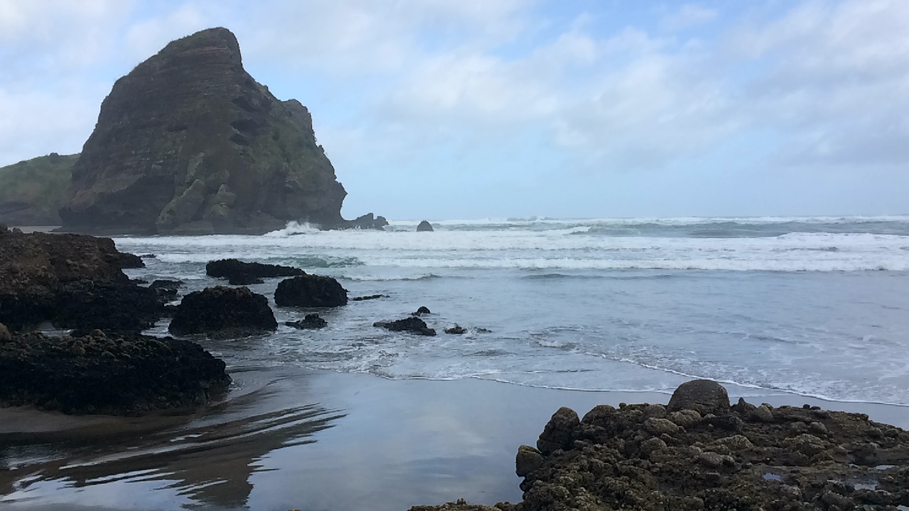 Piha and Karekare are two popular day trips from Auckland. Get to these epic black sand beaches through the Waikatere Range.