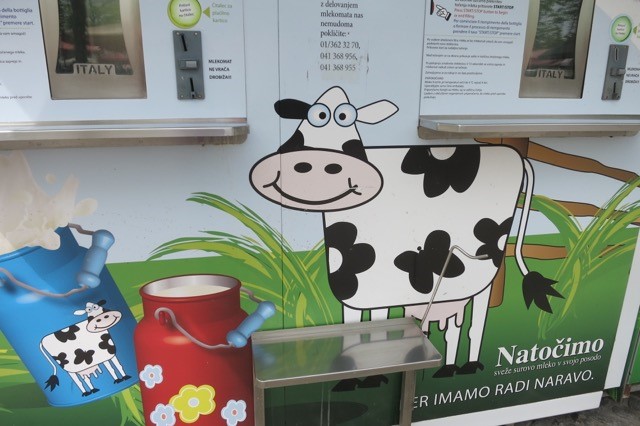 a cow painting on a wall
