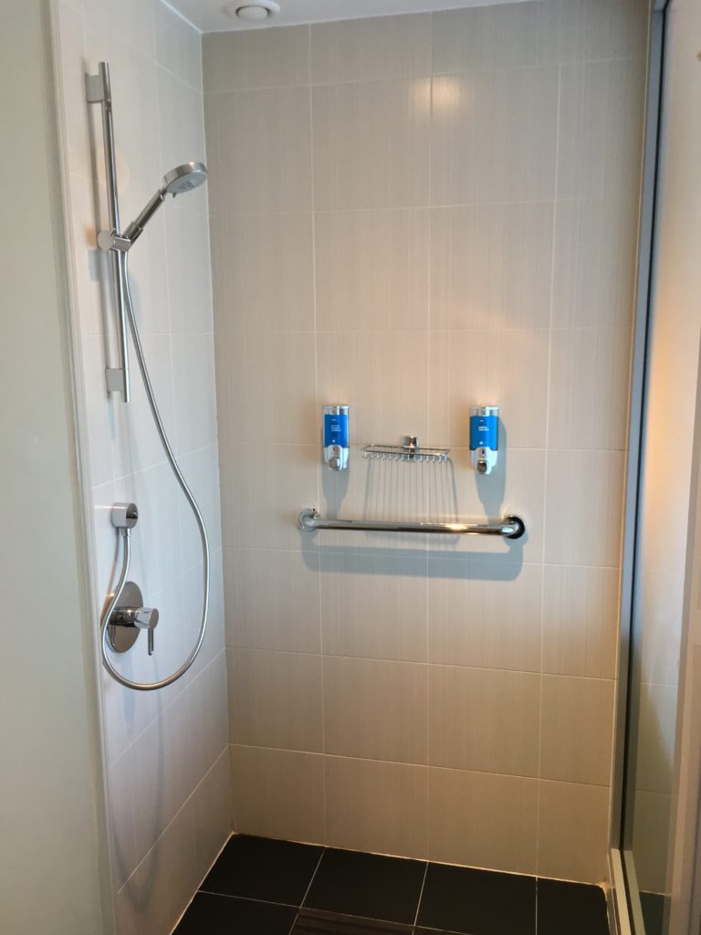 a shower with a shower head and a hand shower
