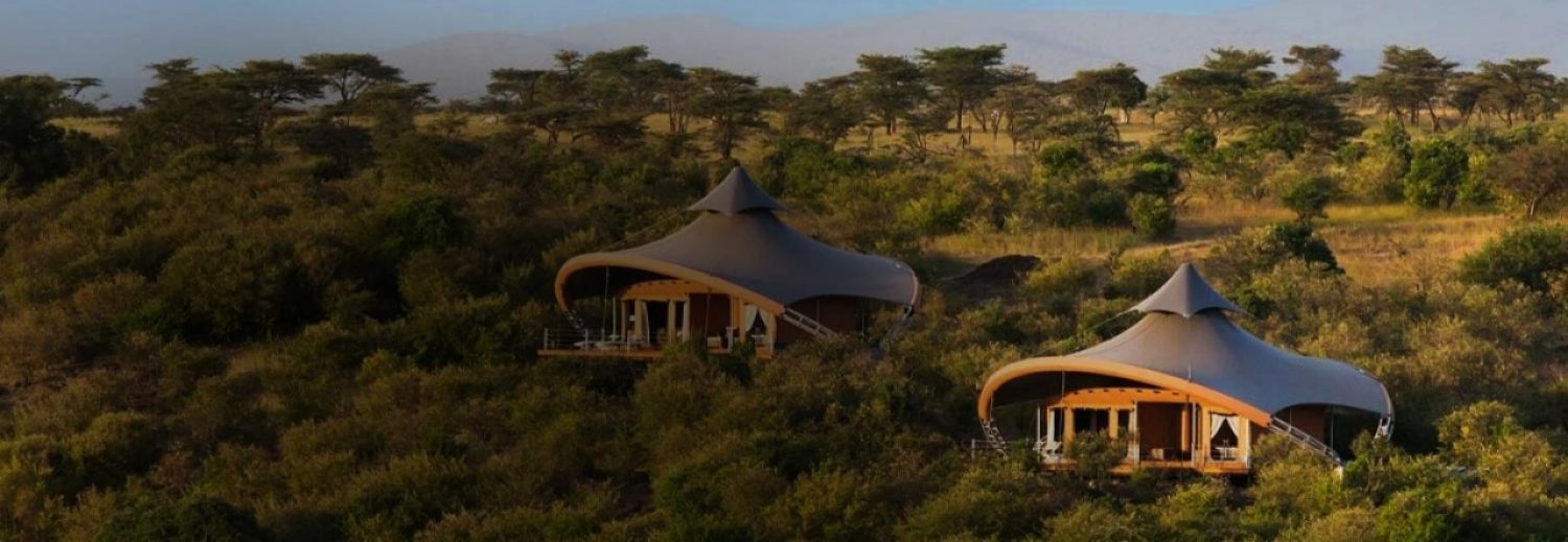 Redeem miles and points for Safari