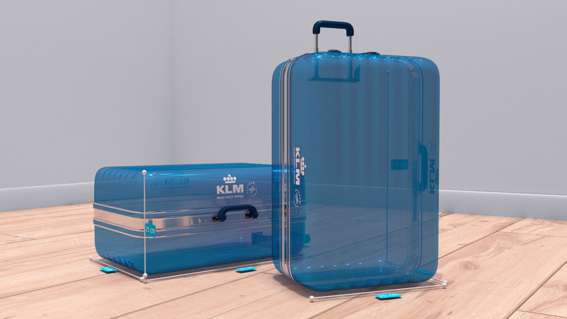 klm baggage business class