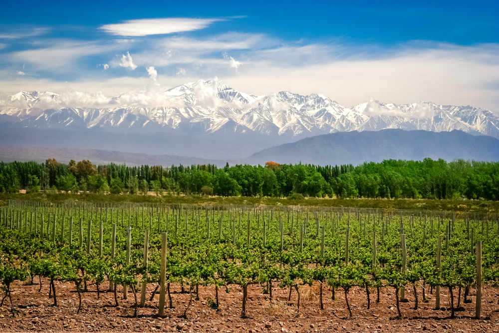 Visit Argentina for world-class wine, exciting culture, and incredible landscapes, and take advantage of the weak peso.