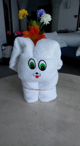 a towel folded into a bunny
