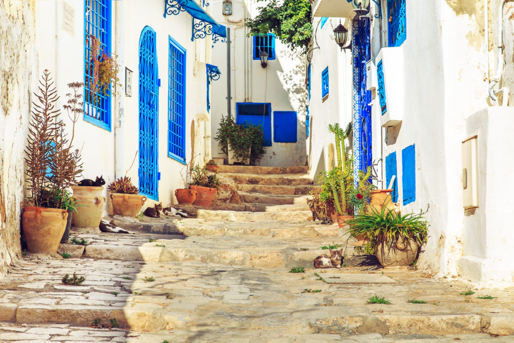 Tunisia's northern coastal villages have a very Mediterranean feel to them.