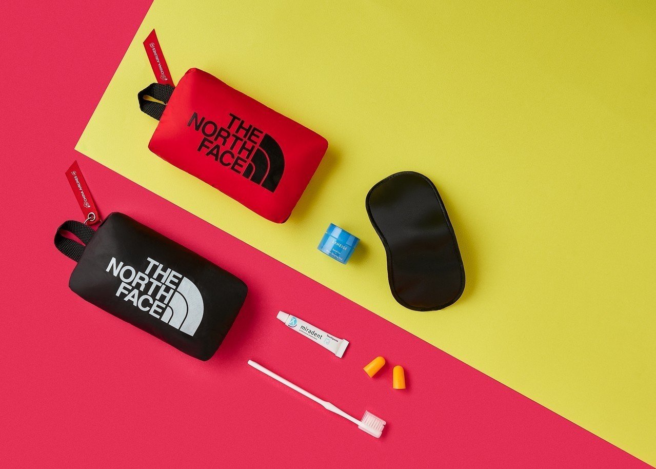 the north face premium