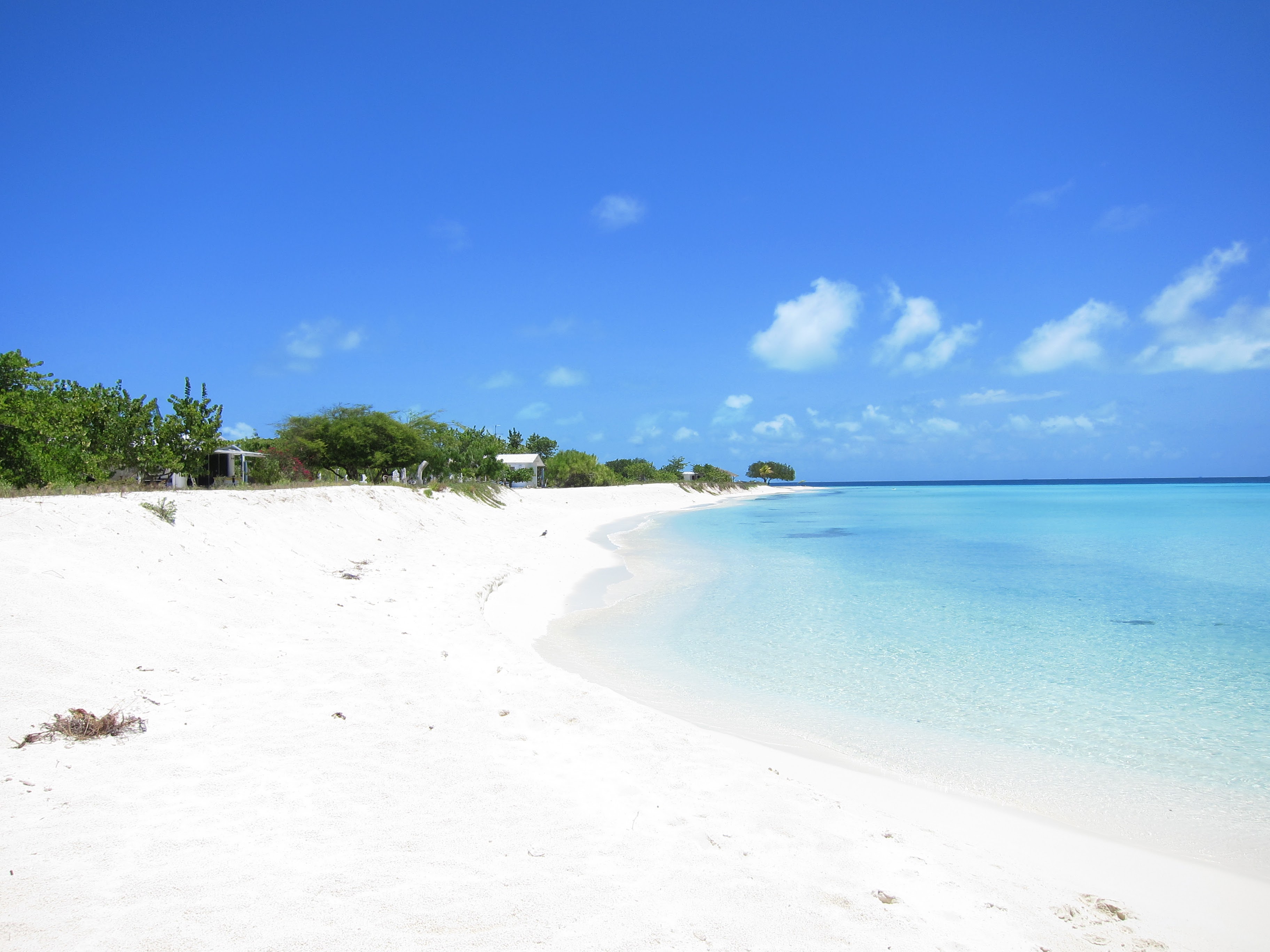 a white sand beach with trees and blue water