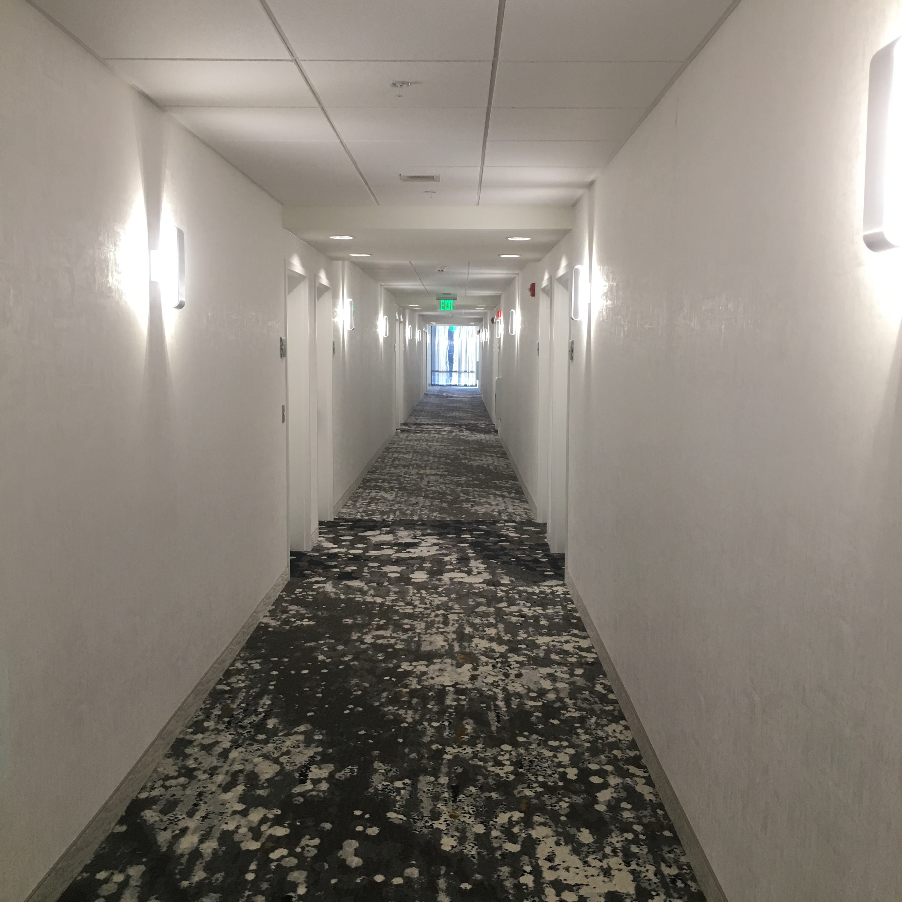 Homewood Suites by Hilton Needham Boston Brightly Lit Hallway