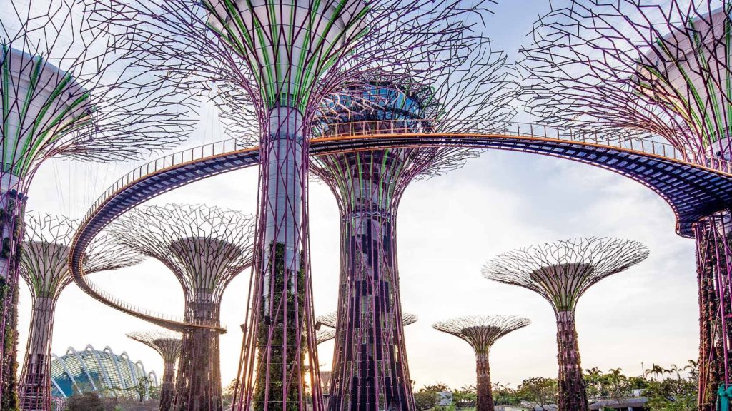 Singapore Gardens by the Bay - Supertrees in Daylight