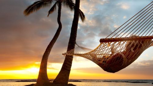 a hammock between palm trees at sunset