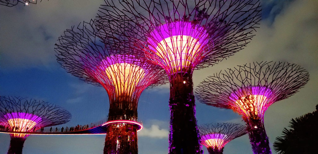 Singapore Gardens by the Bay - Supertrees at Night