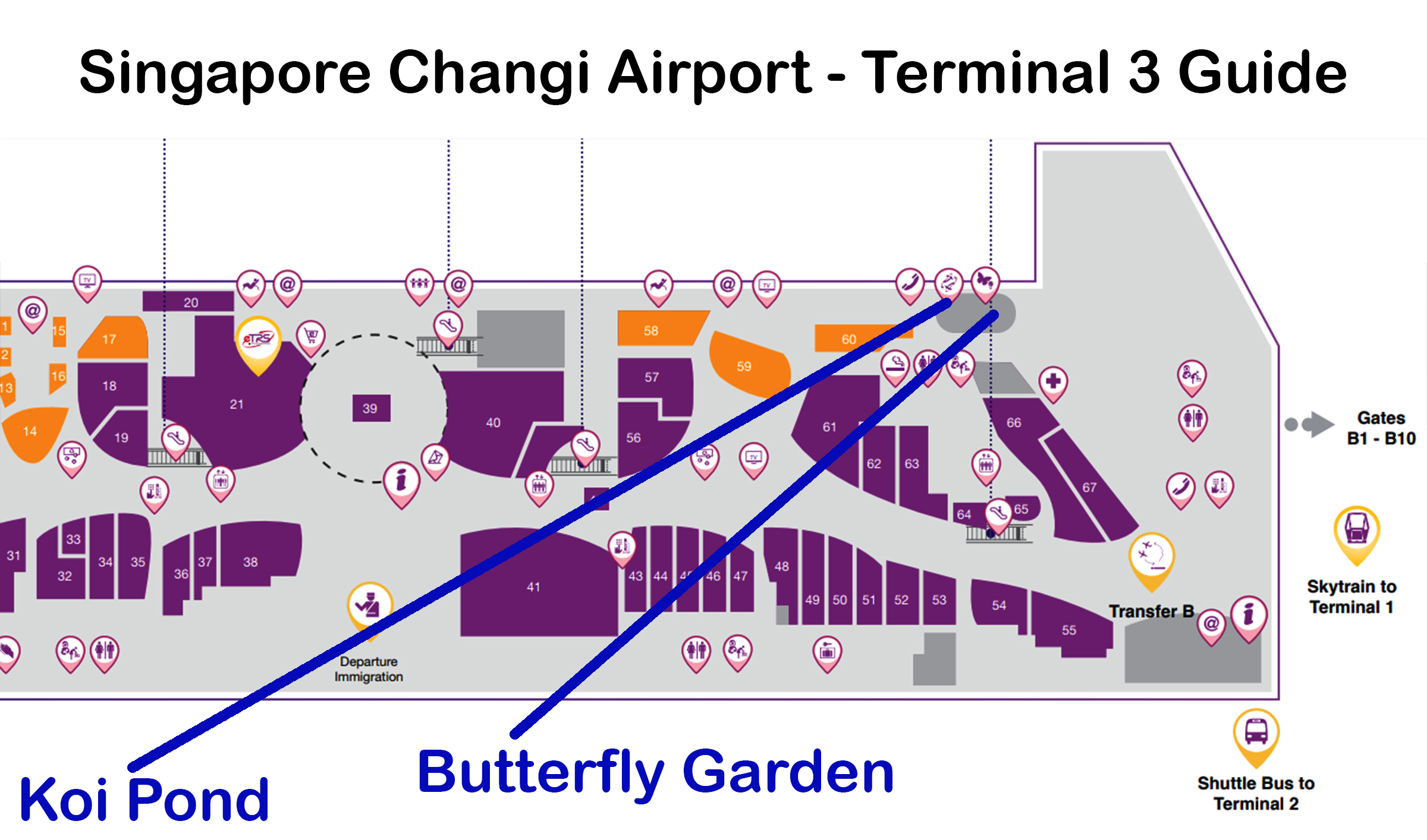 terminal 3 changi airport map Singapore Changi Airport Butterfly Garden Map Terminal 3 Point terminal 3 changi airport map