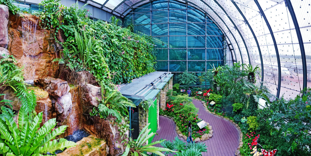 a greenhouse with plants and a walkway
