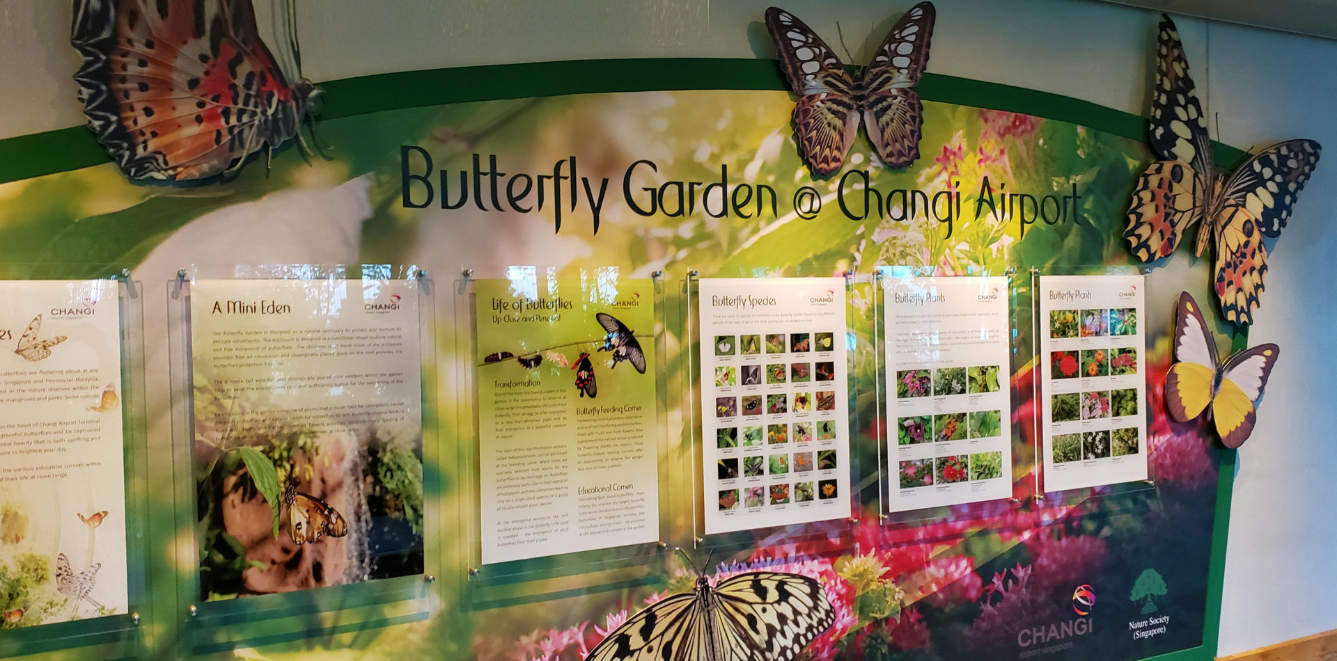 Singapore Changi Airport Butterfly Garden - Photo Tour • Point Me to ...