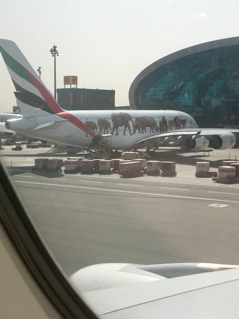 an airplane with elephants on it