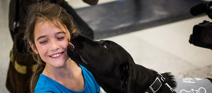 airport therapy dogs