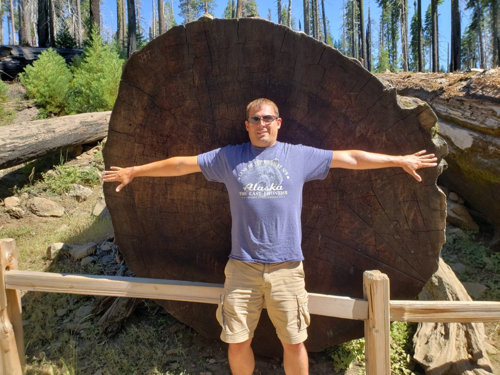 a man standing in front of a large tree trunk