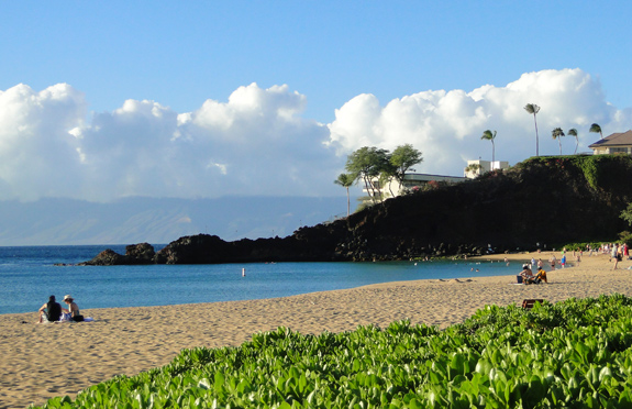 ocean swimming is free to do in Hawaii