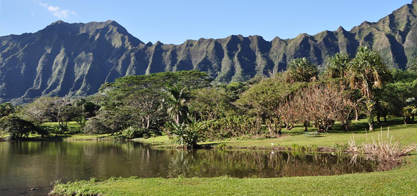 Hoomaluhia Gardens, Maui
