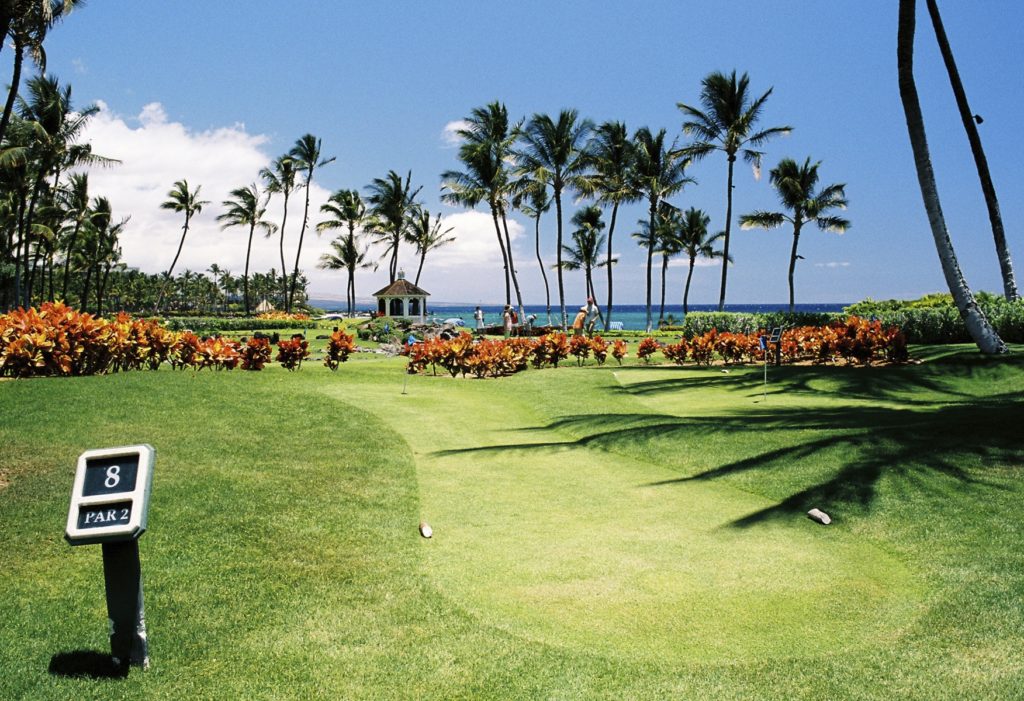 Golf course tropical setting
