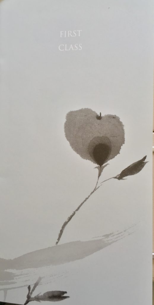 a flower on a white surface